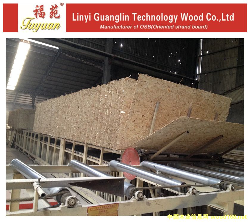 9mm��ľ�W�ɰ�OSB