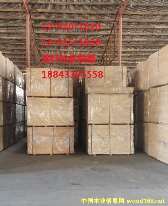 ���Ӱ��Ԕ����B