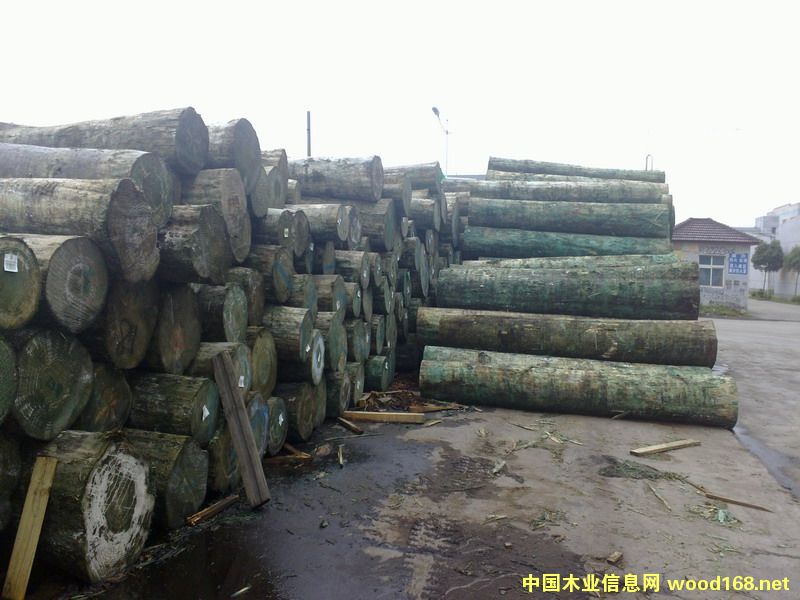 [��] �����mݗ���ɷ����o��(ji��)ԭľ