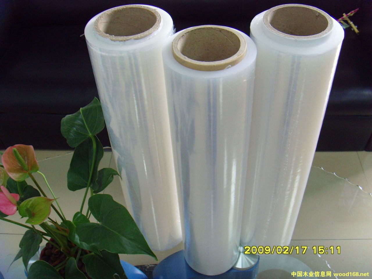 �����p�@Ĥ