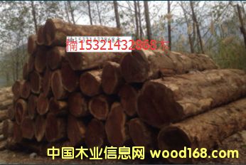 �ľ��Ԕ����B