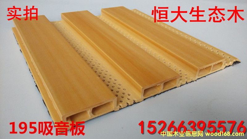 ���B(t��i)ľ195������