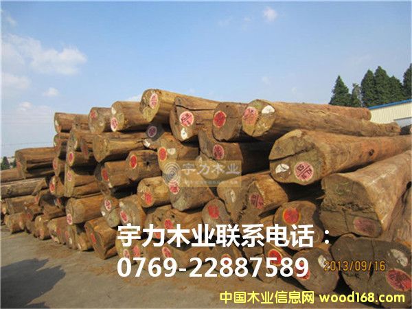 ��ľԭľ���Q(m��o)�ĵ�Ԕ��(x��)��B