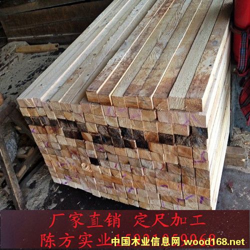 鐵杉的詳細(xì)介紹