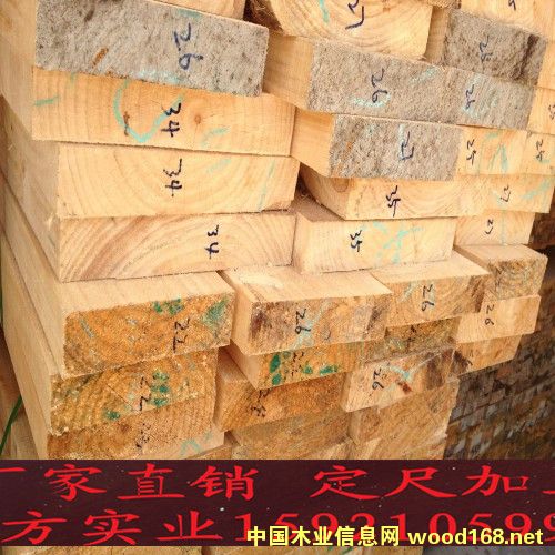 輻射松的詳細(xì)介紹