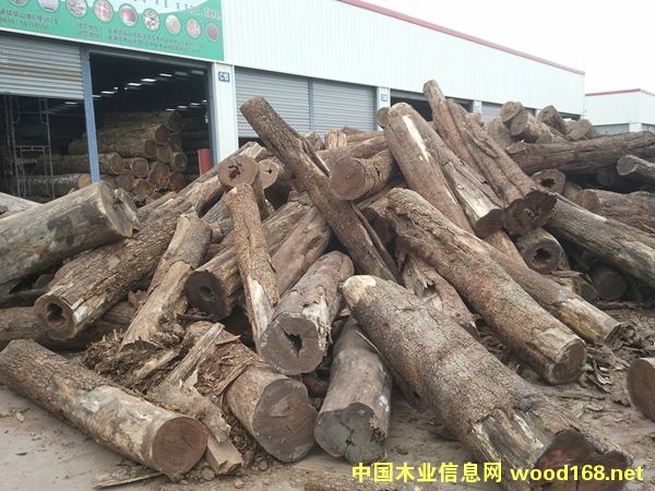 ����̴��ľ��Ԕ����B