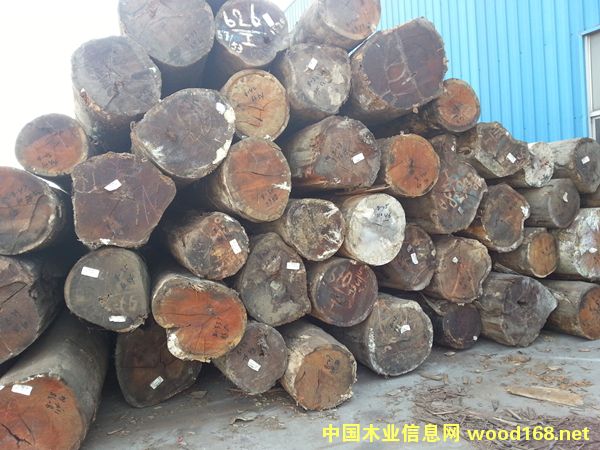 ��������ľ��Ԕ����B