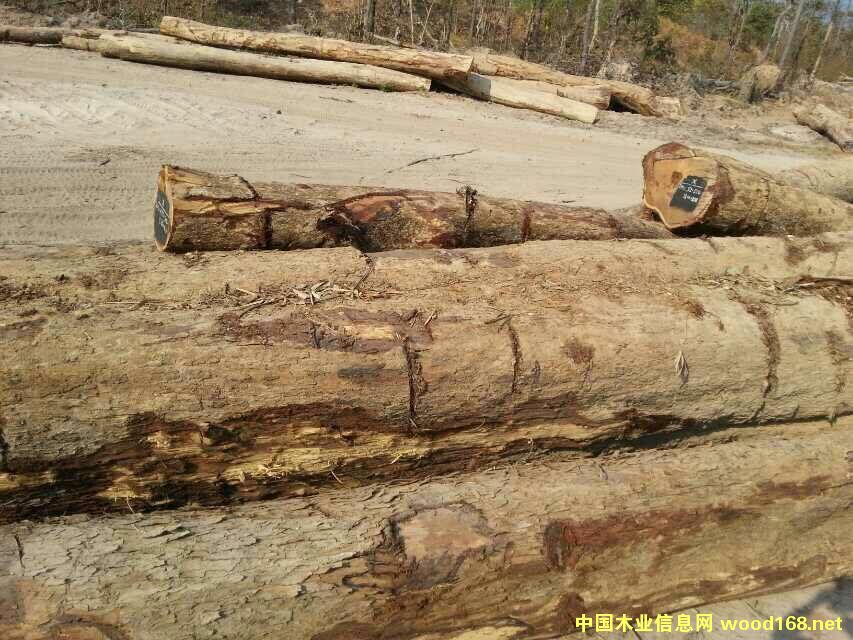 �ϓ뻨��ľ��Ԕ��(x��)��B