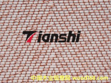 ���~���w��Ԕ��(x��)��B