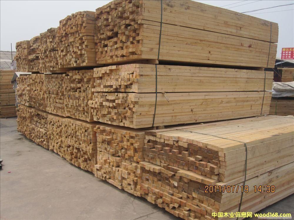 һ�����|(zh��)��ľ��Ԕ��(x��)��B