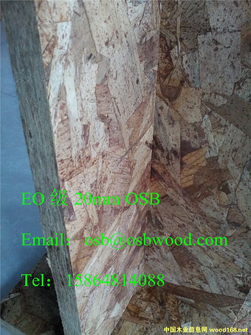 OSBľ�T���A�����r��