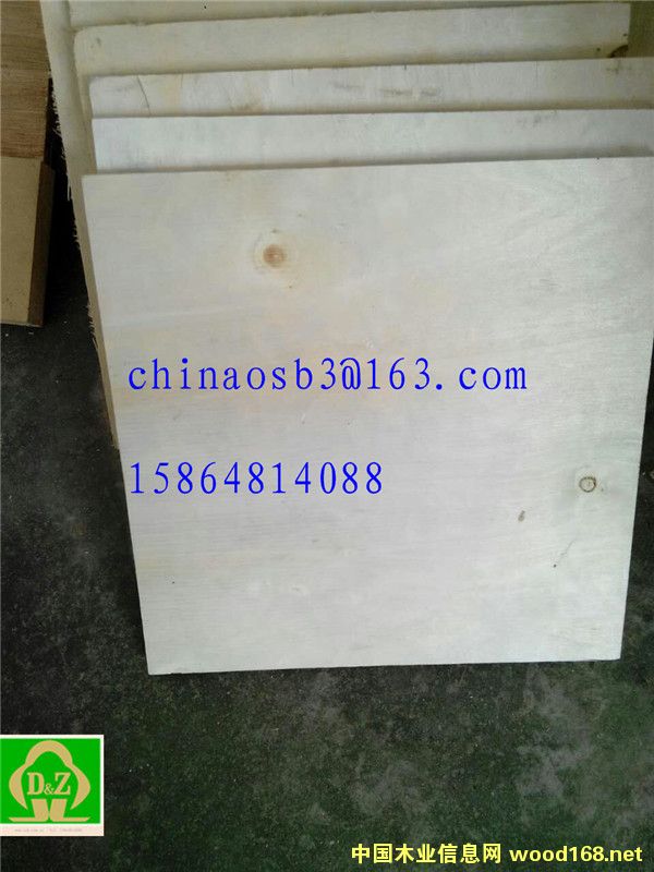 ��ľ��ƤOSB���b��