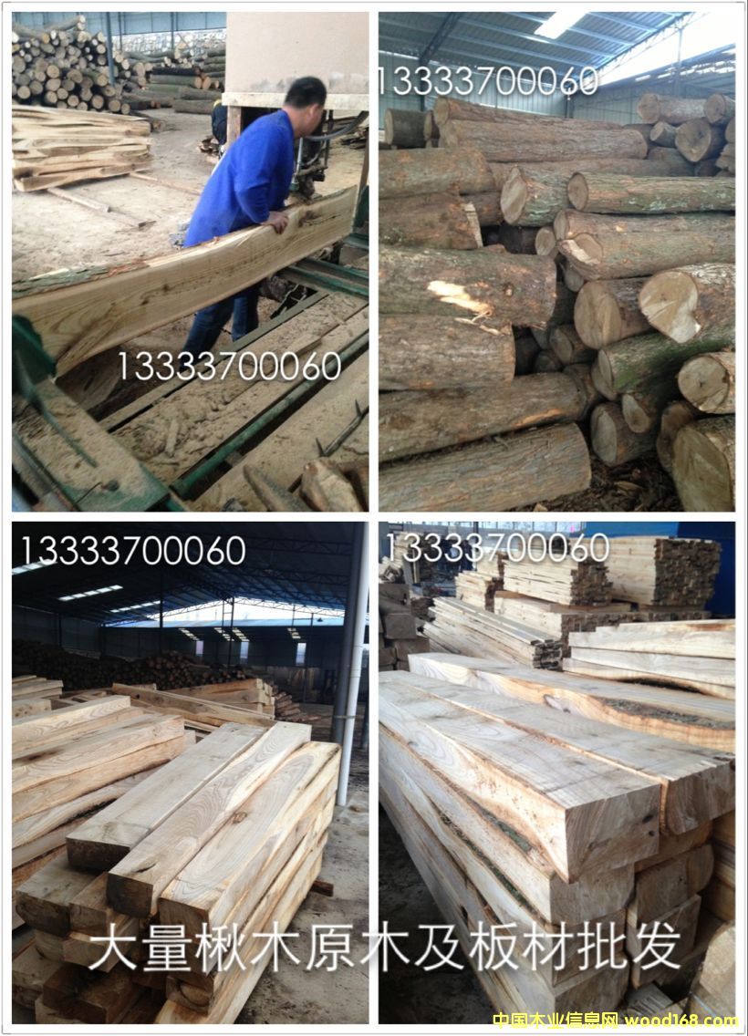 楸木的詳細(xì)介紹