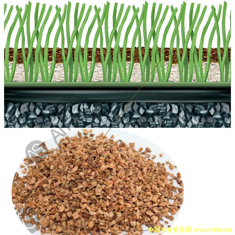 �����ƺ�����ܛľ�w����Ԕ��(x��)��B