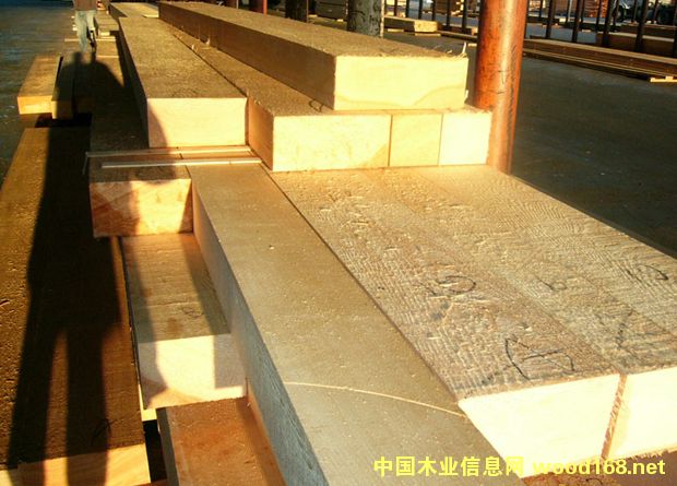 黃檜木的詳細介紹