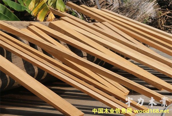 ������ľҎ(gu��)���ϵ�Ԕ����B