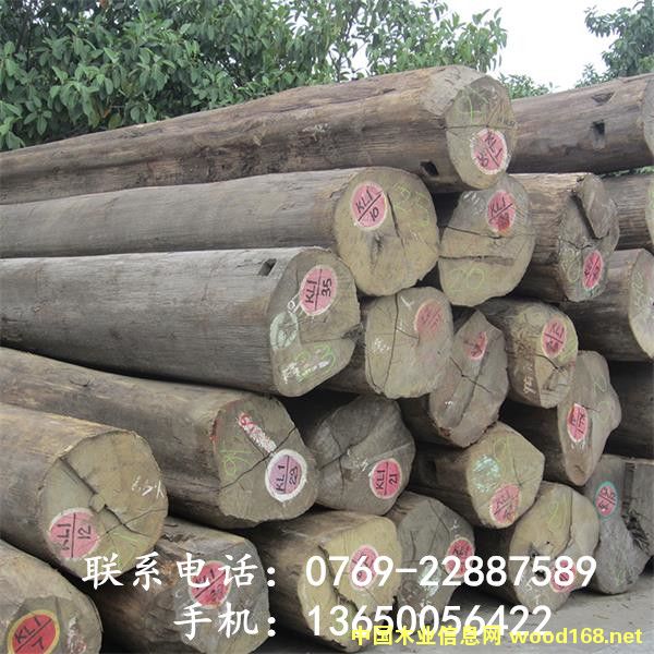 �����߳���ľ