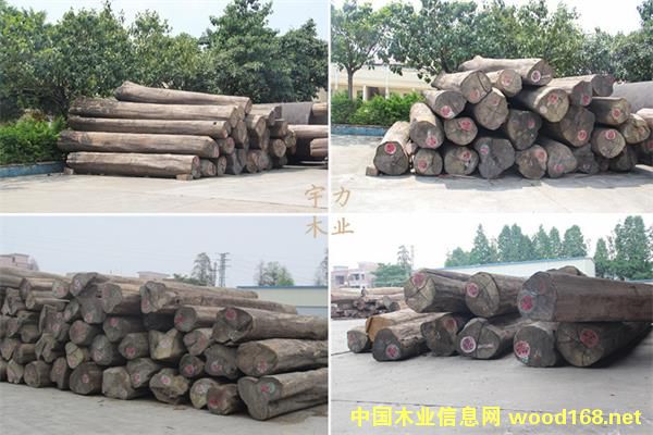 ������ľԭľ��Ԕ����B