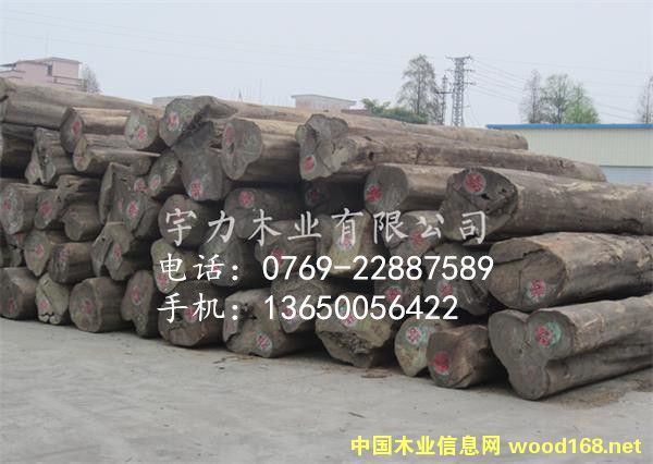 ��ľԭľ���Q(m��o)�ĵ�Ԕ����B