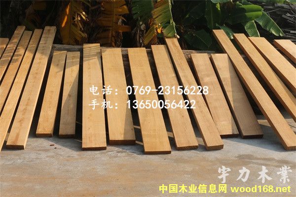 ������ľ��ĵ�Ԕ����B