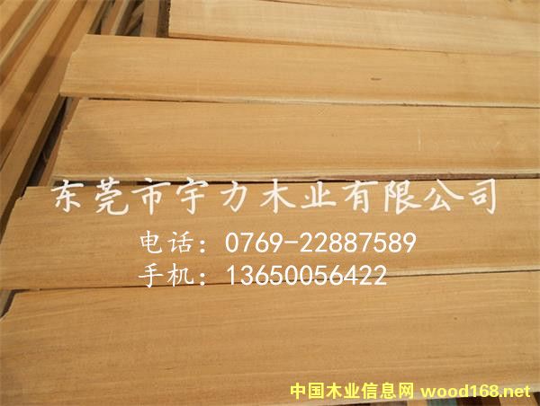 ������ľ��Ƭ