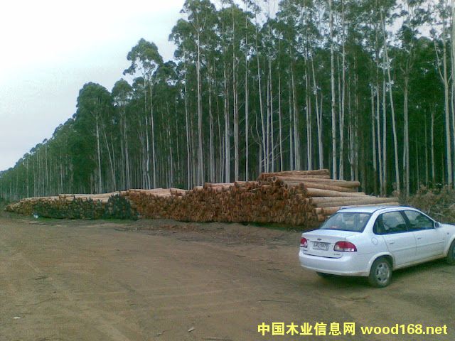 õ�����Ԕ��(x��)��B