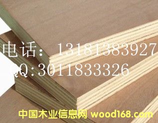 �Ҿ߶��Ӱ��Ԕ��(x��)��B