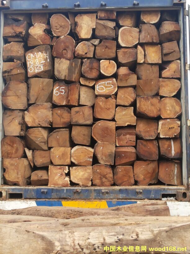 �׃�(n��i)��-�ȽB�����̴�M(j��n)�ڈ�(b��o)�P(gu��n)����