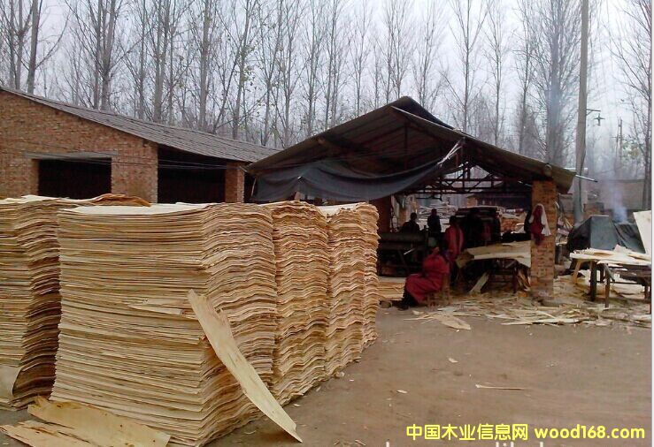 ��ľ�ΰ��Ԕ��(x��)��B