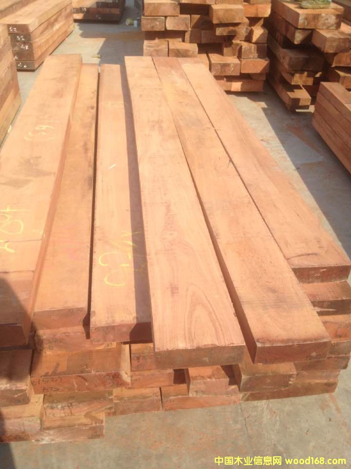 贊比亞巴花的詳細(xì)介紹