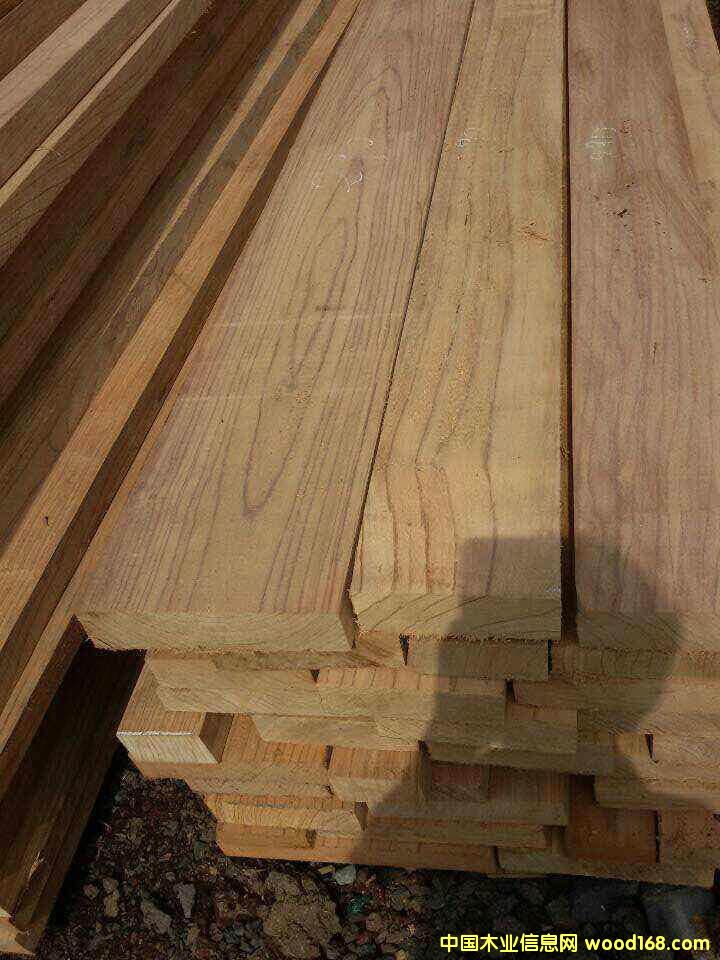 紅玫瑰的詳細(xì)介紹