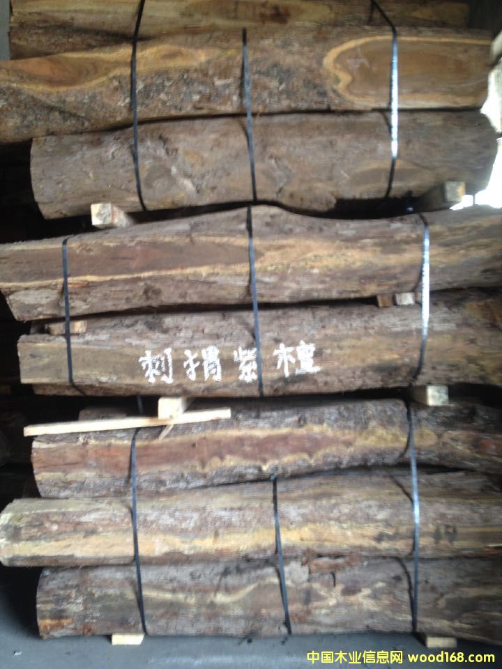 刺猬紫檀的詳細(xì)介紹