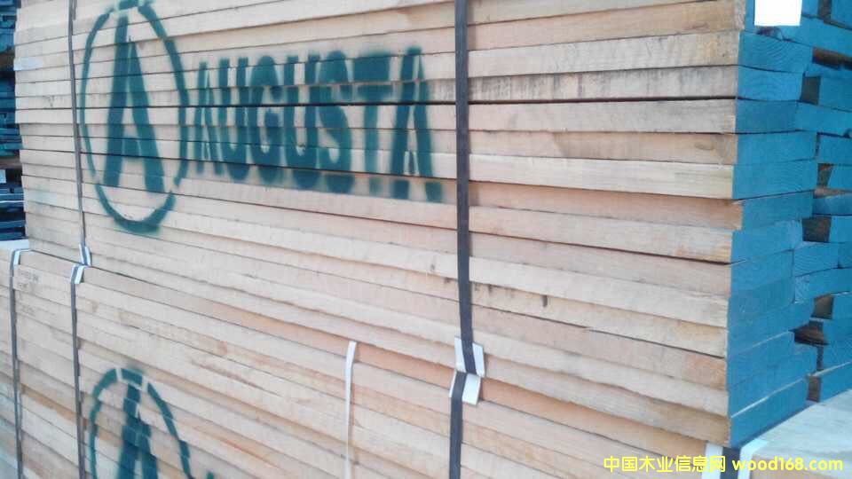 紅橡的詳細(xì)介紹