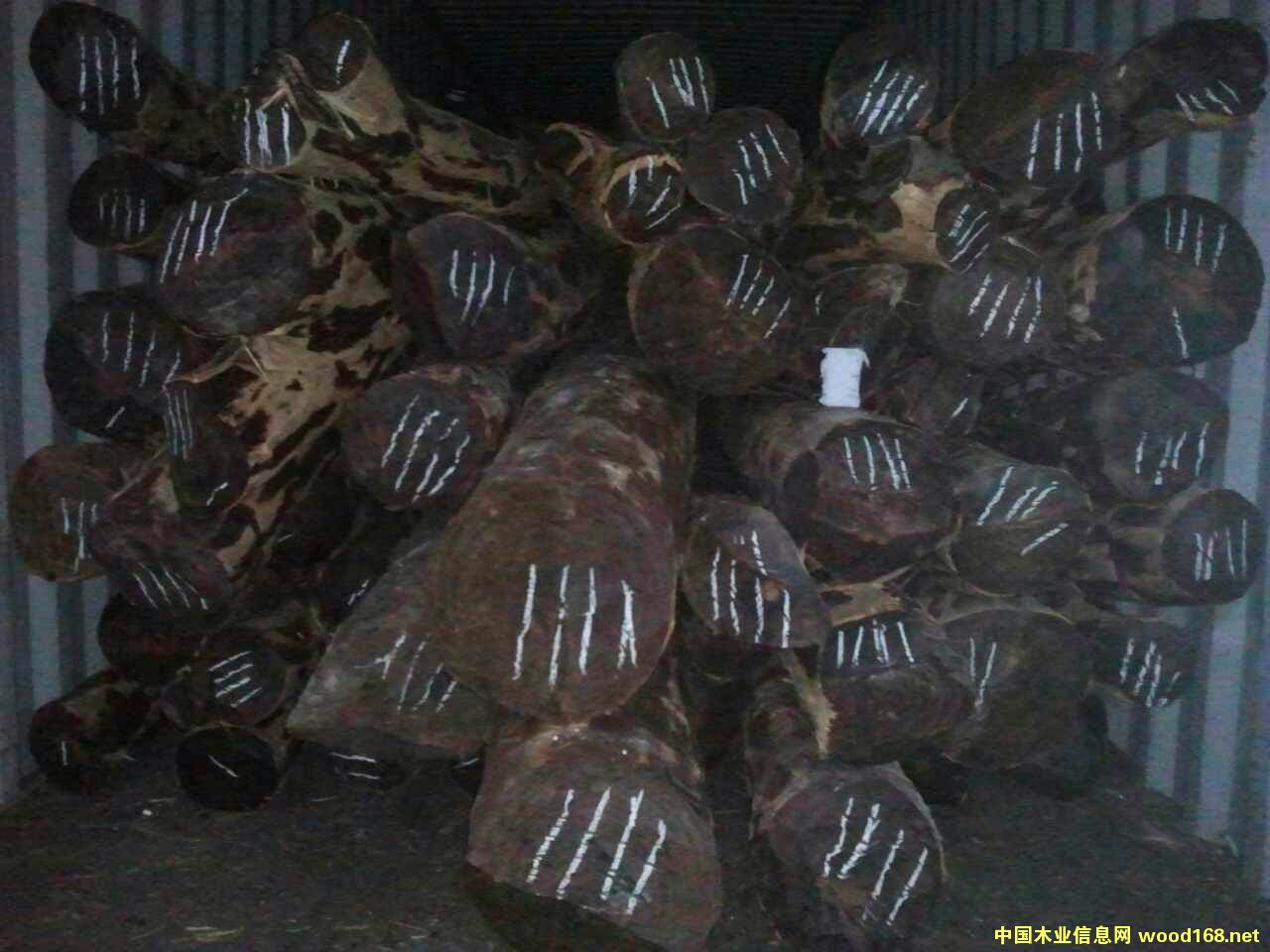 ٝ�ȁ�Ѫ̴��Ƥ��Ԕ��(x��)��B