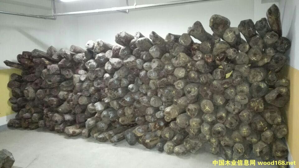 С�~��̴��Ԕ��(x��)��B