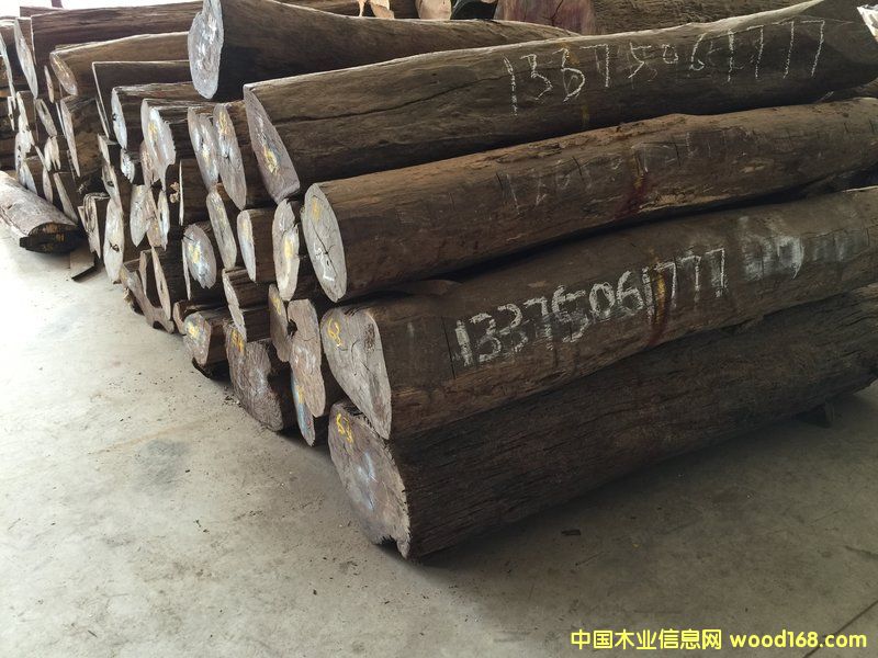 Խ�ϼt��֦�Aľ��Ԕ��(x��)��B