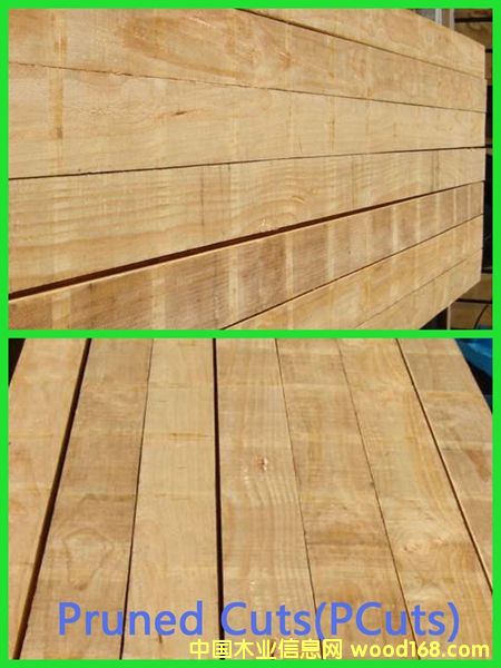 PAN PAC���SPCuts��(j��)��Ԕ��(x��)��B