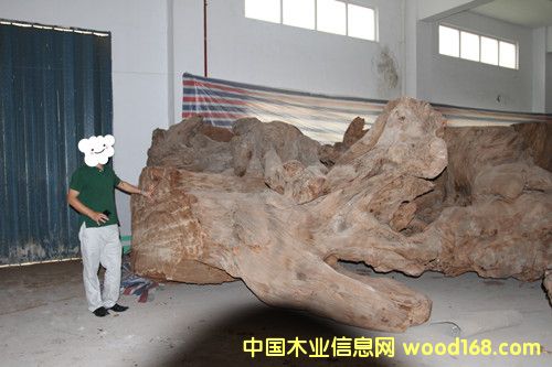 �����m5�f(w��n)��ꎳ�ľ ���^��Ԕ��(x��)��B