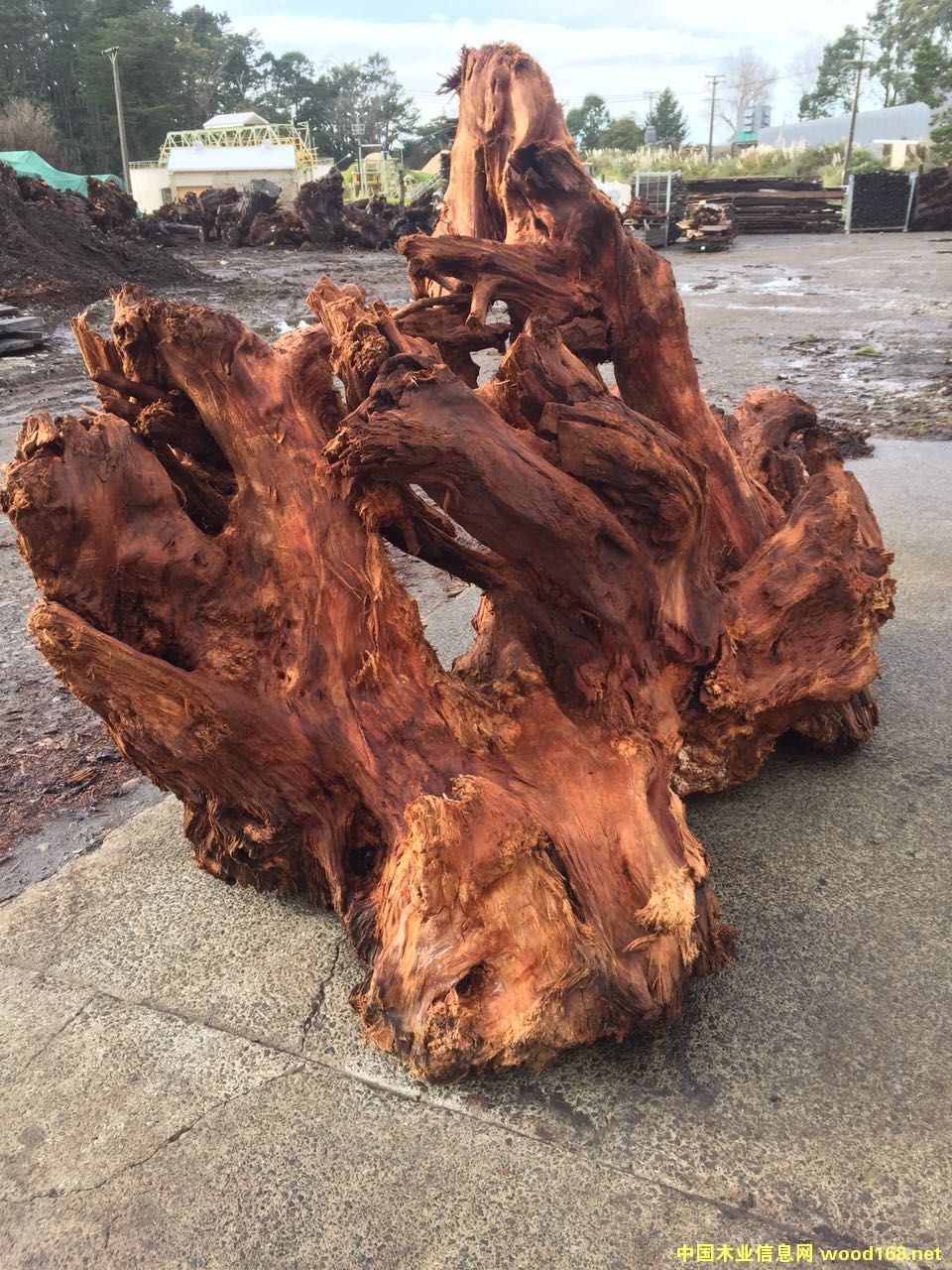 �����m���f(w��n)��ꎳ�ľԭľ�����Ԕ��(x��)��B