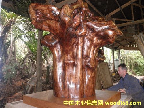 �����m5�f(w��n)��ꎳ�ľ ���^չʾ��Ԕ��(x��)��B