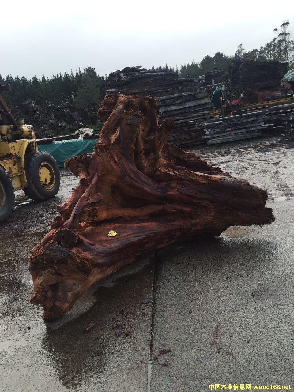 �����m5�f(w��n)��ꎳ�ľ ���^��Ԕ��(x��)��B