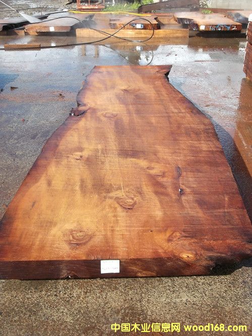 �����m5�f(w��n)��ꎳ�ľ ����Ԕ��(x��)��B