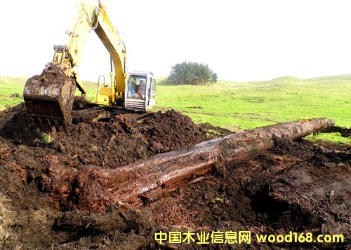 �����m5�f(w��n)��ꎳ�ľ �ھ�F(xi��n)��(ch��ng)��Ԕ��(x��)��B