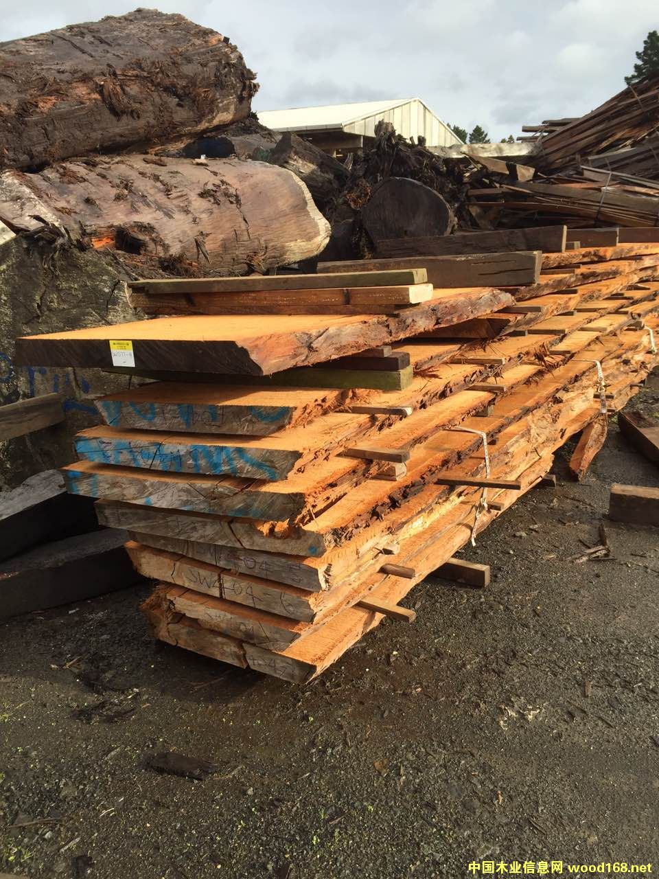 �����m���f(w��n)��ꎳ�ľԭľ����Ԕ��(x��)��B