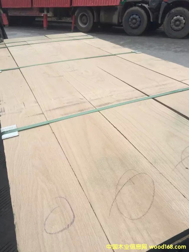 紅橡的詳細(xì)介紹