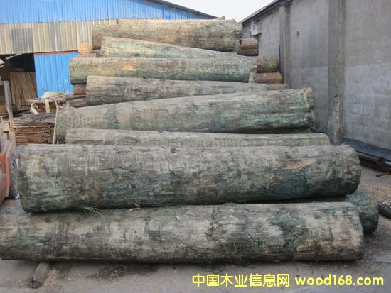 ݗ����ԭľ��Ԕ��(x��)��B