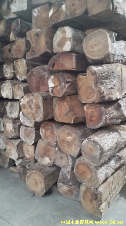 �������Ԕ��(x��)��B