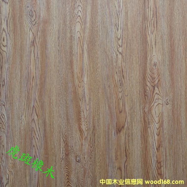 ������ľ