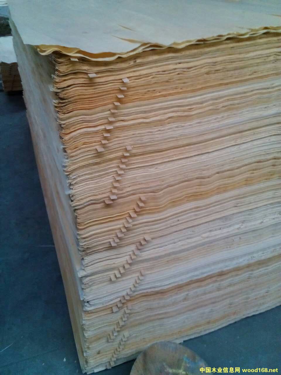 ��ľ�ΰ��Ԕ��(x��)��B