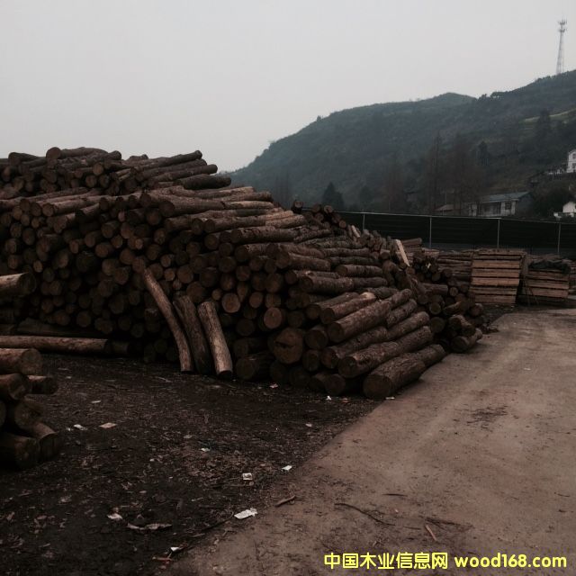 ���خa(ch��n)Ʒ�A(y��)�[��Ԕ��(x��)��B